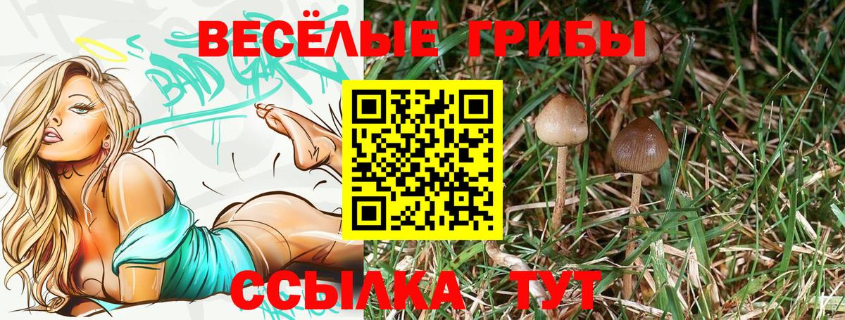 Псилоцибиновые грибы ЛСД  Вход с VPN  Соль-Илецк 
